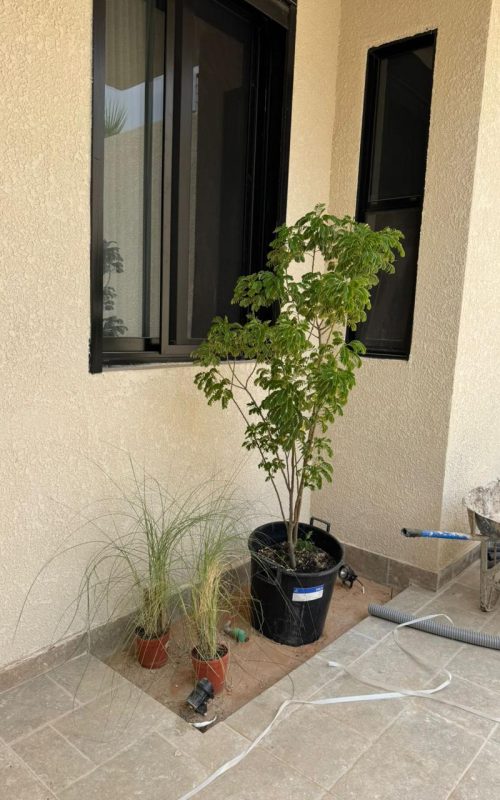 WhatsApp Image 2025-09-22 at 3.07.21 PM (1)