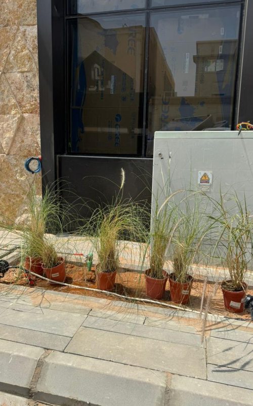 WhatsApp Image 2025-09-22 at 3.07.21 PM (2)