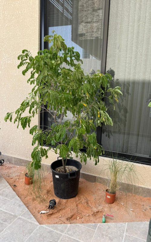 WhatsApp Image 2025-09-22 at 3.07.21 PM